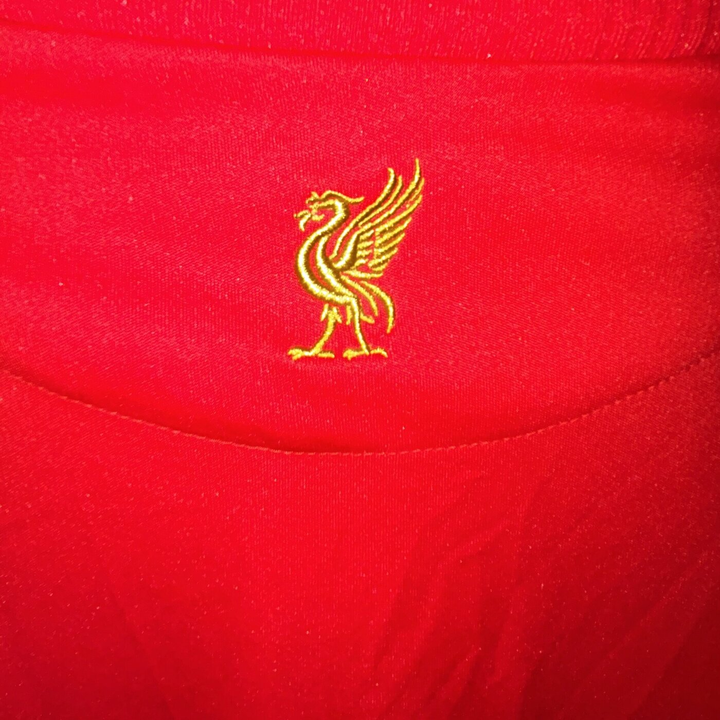 Liverpool Home 2008/10 — Liverpool 08/10 (6)